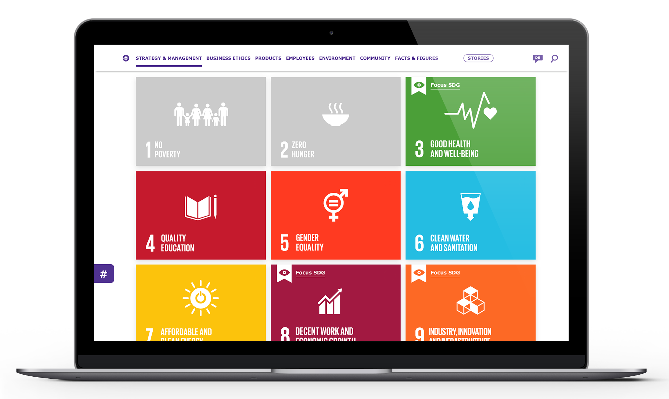 Our focus SDGs (Graphic)